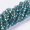 Glass Beads Strands EGLA-F120-M01-4