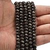Natural Coffee Jasper Beads Strands G-Z111-A52-2