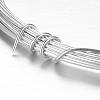 Round Aluminum Craft Wire LS-AW-D009-2mm-5m-01-2