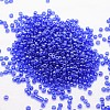 6/0 Glass Seed Beads X-SEED-J012-F6-108-2