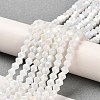 Opaque Solid Color Electroplate Glass Beads Strands LS-GLAA-F029-P4mm-A15-4