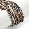 Natural Leopard Skin Jasper Beads Strands G-K365-C01-01-1