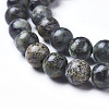 Natural African Turquoise(Jasper) Beads Strands G-D809-02-8mm-2