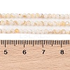 Natural Freshwater Shell Beads Strands SHEL-T011-02-4mm-4