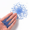 Glass Seed Beads X1-SEED-A004-3mm-6-4