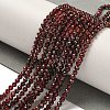 Natural Garnet Beads Strands X-G-I341-09C-2