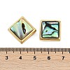 Natural Paua Shell Beads SSHEL-M024-03C-G-3