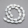 Natural Howlite Gemstone Bead Strands X-G-T004-19-2