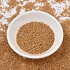 MIYUKI Delica Beads X-SEED-J020-DB1778-2