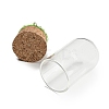 Natural Rose Quartz Nuggets Display Decoration with Glass Dome Cloche Cover DJEW-B009-03C-3