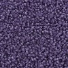 MIYUKI Delica Beads SEED-JP0008-DB1265-3