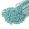 TOHO Round Seed Beads SEED-JPTR08-0413F-1
