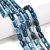 Natural Apatite Beads Strands G-G980-51B-2