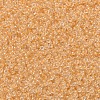MIYUKI Round Rocailles Beads X-SEED-G007-RR0202-3