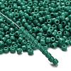 TOHO 6/0 Round Beads X-SEED-TR06-0055D-2