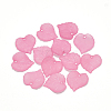 Transparent Acrylic Pendants PL591-2-1