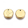 316 Surgical Stainless Steel Charms STAS-S116-418D-G-3