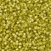 MIYUKI Delica Beads X-SEED-J020-DB2187-3