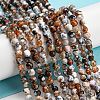 Dyed Natural Fire Crackle Agate Beads Strands G-G007-01G-2