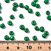6/0 Glass Seed Beads SEED-S058-A-F280-4