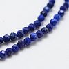 Natural Lapis Lazuli Bead Strands X-G-G663-48-2mm-3