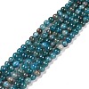 Natural Apatite Beads Strands G-D856-01-4mm-5