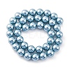 Shell Pearl Beads Strands BSHE-K015-10mm-02-4