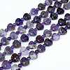 Natural Amethyst Beads Strands G-C062-A08-01A-1