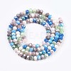 Glass Beads Strands X-GLAA-T006-16E-2
