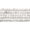 Natural Howlite Beads Strands G-E608-A01-B-1