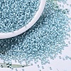 MIYUKI Delica Beads SEED-J020-DB0628-1