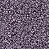 MIYUKI Round Rocailles Beads SEED-X0054-RR0437-3