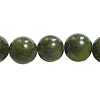 Olive Z0NCT015-1