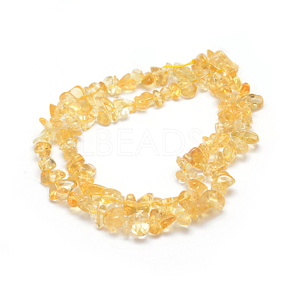 Natural Citrine Beads Strands G-P332-51-1