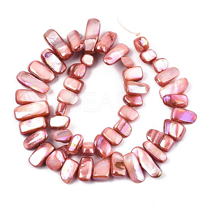 Natural Freshwater Shell Beads Strands X-SHEL-N026-123C-1