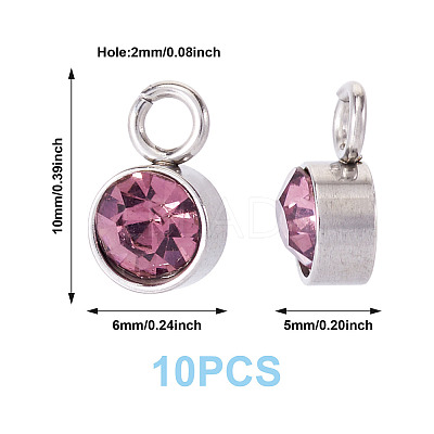 10Pcs Glass Rhinestone Charms STAS-TA0003-26H-1