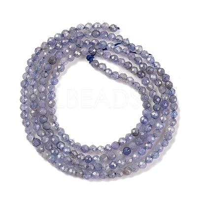 Natural Tanzanite Beads Strands X-G-F770-C04-03-1