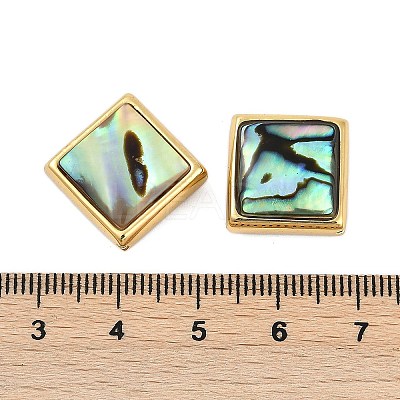 Natural Paua Shell Beads SSHEL-M024-03C-G-1