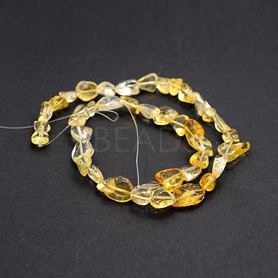 Natural Citrine Bead Strands G-J280-05-1