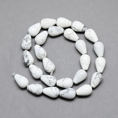 Natural Howlite Gemstone Bead Strands X-G-T004-19-1