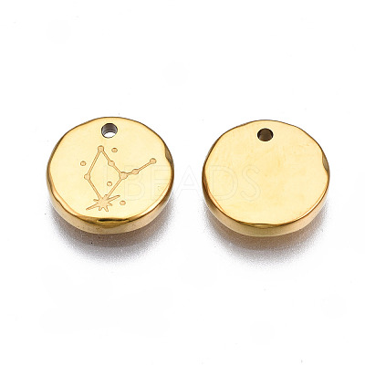 316 Surgical Stainless Steel Charms STAS-S116-418D-G-1