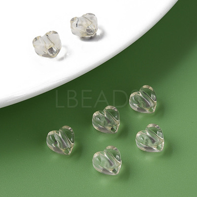 Transparent Acrylic Beads MACR-S373-95-B13-1