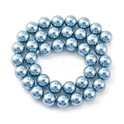 Shell Pearl Beads Strands BSHE-K015-10mm-02-1