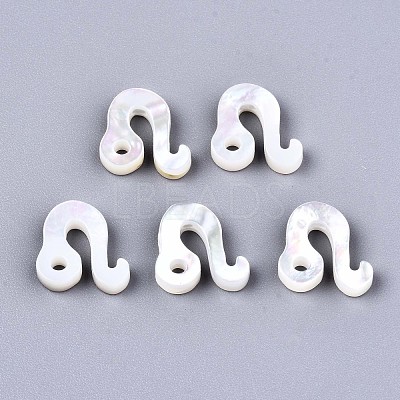 Natural White Shell Beads X-SSHEL-ZX004-02J-1