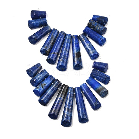 Natural Lapis Lazuli Beads Strands G-P298-I01-1