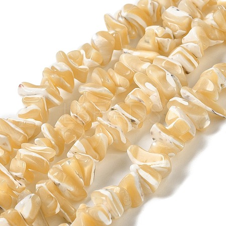 Natural Trochus Shell Beads Strands SHEL-K006-38-1