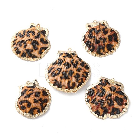 Natural Sea Shell Pendants SSHEL-B002-02G-02-1