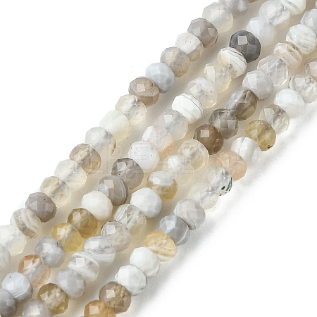 Natural Botswana Agate Beads Strands G-F748-D01-1