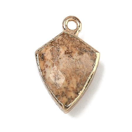 Natural Picture Jasper Pendants G-K422-01G-10-1