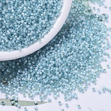 MIYUKI Delica Beads SEED-J020-DB0628-1